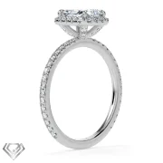 Halo moissanite radiant cut stone 32 rbc