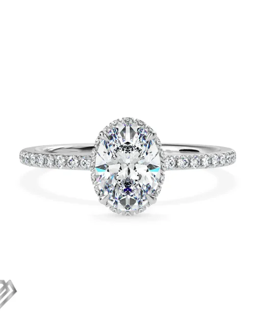 Hidden Halo moissanite oval cut stone