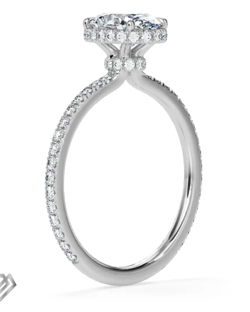 Hidden Halo moissanite oval cut stone