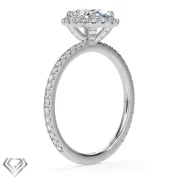 Halo lab oval cut stone 32 rbc